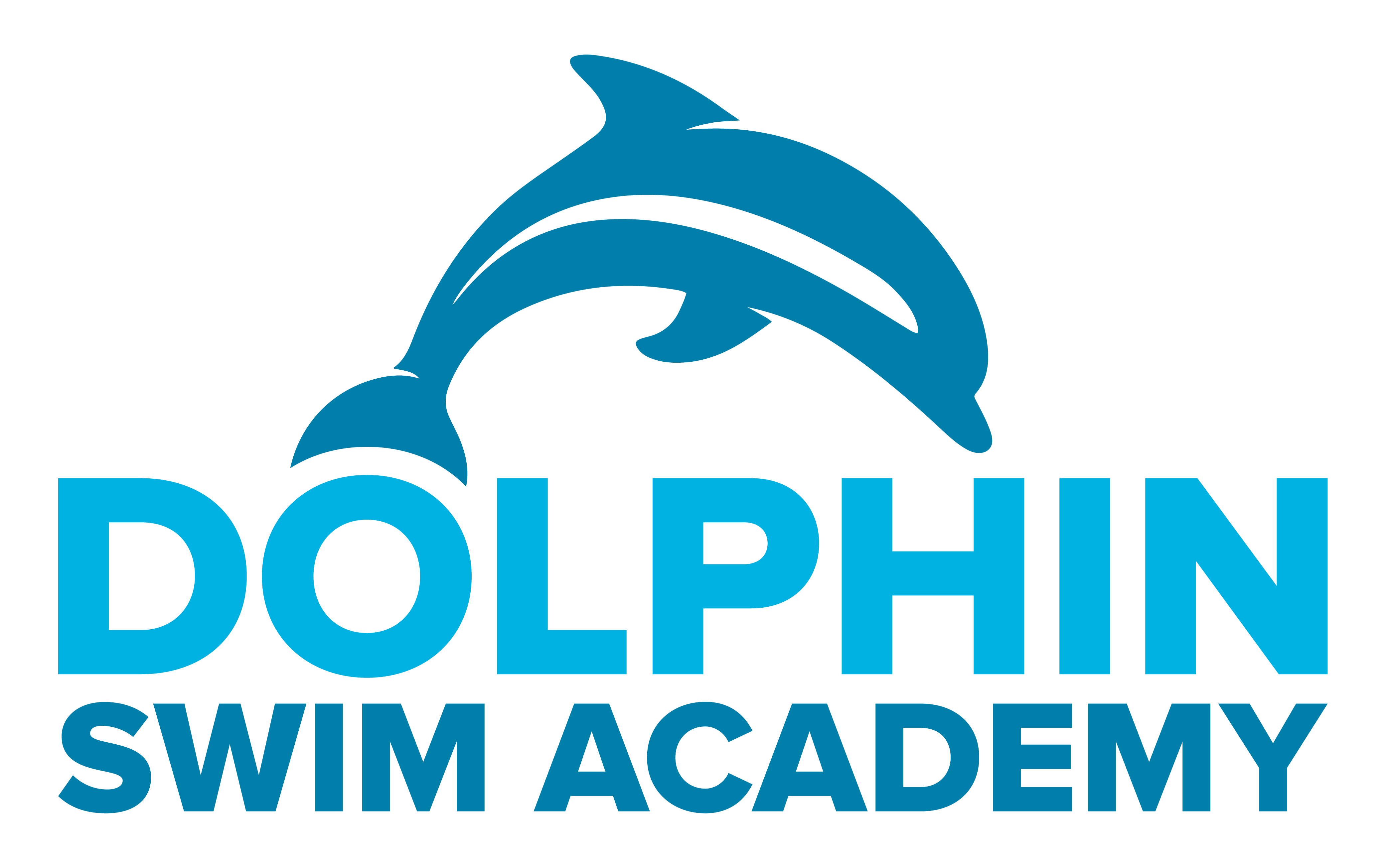 dolphinswimschool
